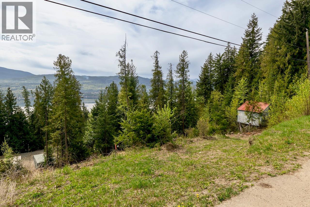 Castle Heights Lot# 68, Anglemont, British Columbia  V0E 1M8 - Photo 5 - 10384258