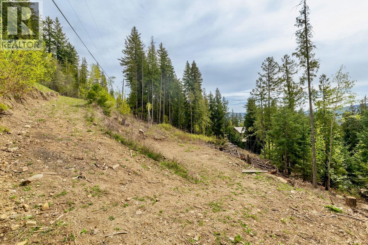 Castle Heights Lot# 68, Anglemont, British Columbia  V0E 1M8 - Photo 6 - 10384258