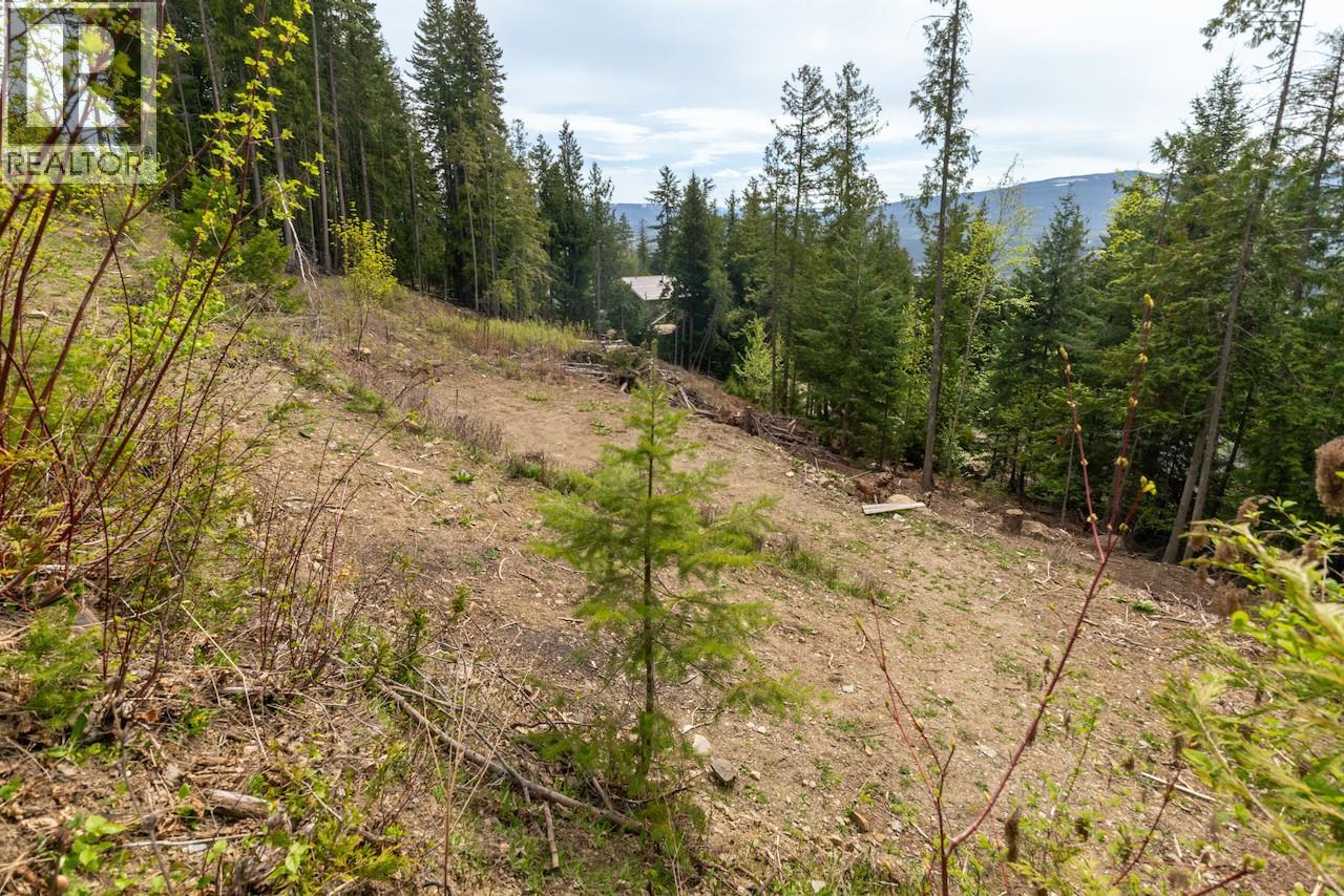 Castle Heights Lot# 68, Anglemont, British Columbia  V0E 1M8 - Photo 7 - 10384258