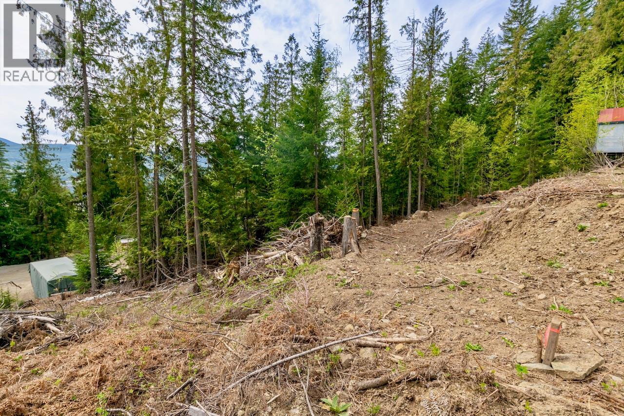 Castle Heights Lot# 68, Anglemont, British Columbia  V0E 1M8 - Photo 8 - 10384258
