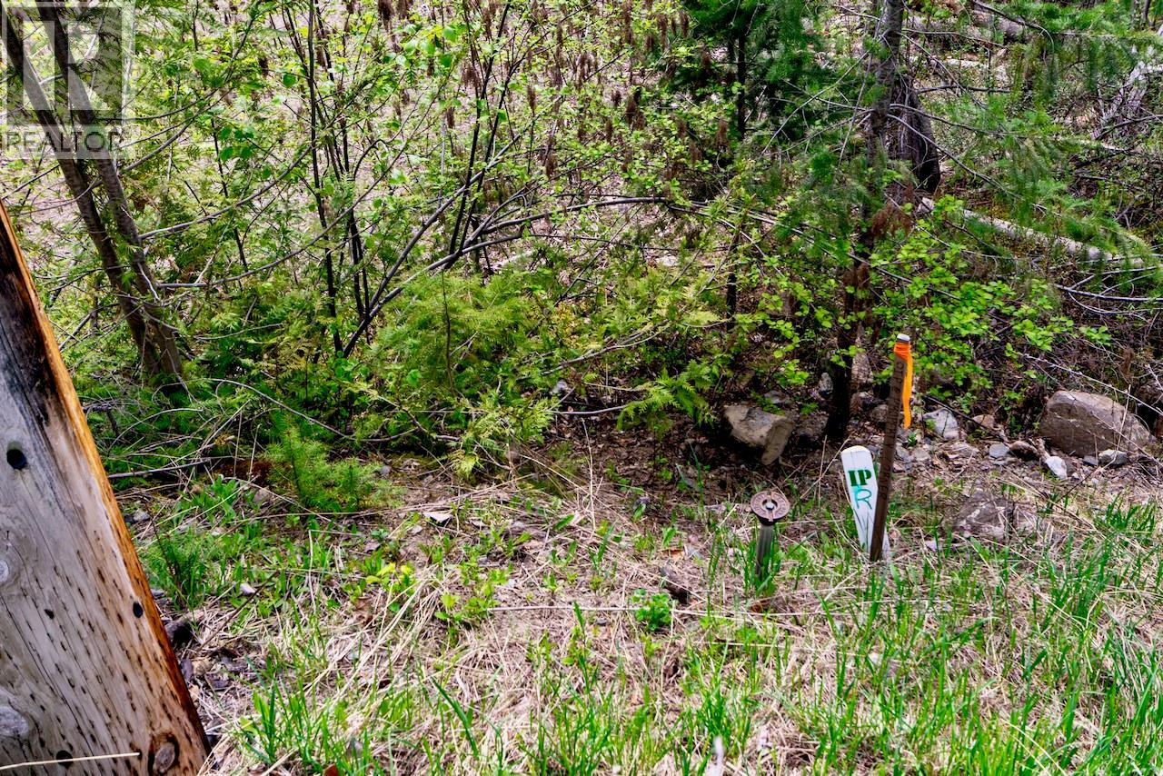 Castle Heights Lot# 68, Anglemont, British Columbia  V0E 1M8 - Photo 9 - 10384258