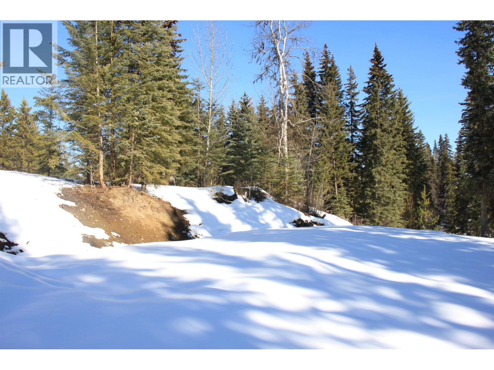 Lot 10 N Bridge Lake Road, Bridge Lake, British Columbia  V0K 1X2 - Photo 6 - R3095694