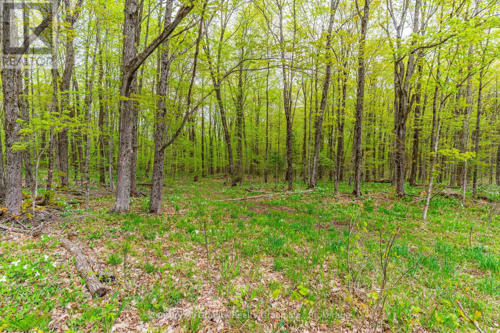 9734 Highway 118 W, Algonquin Highlands, Ontario  K0M 1J2 - Photo 25 - X13054416