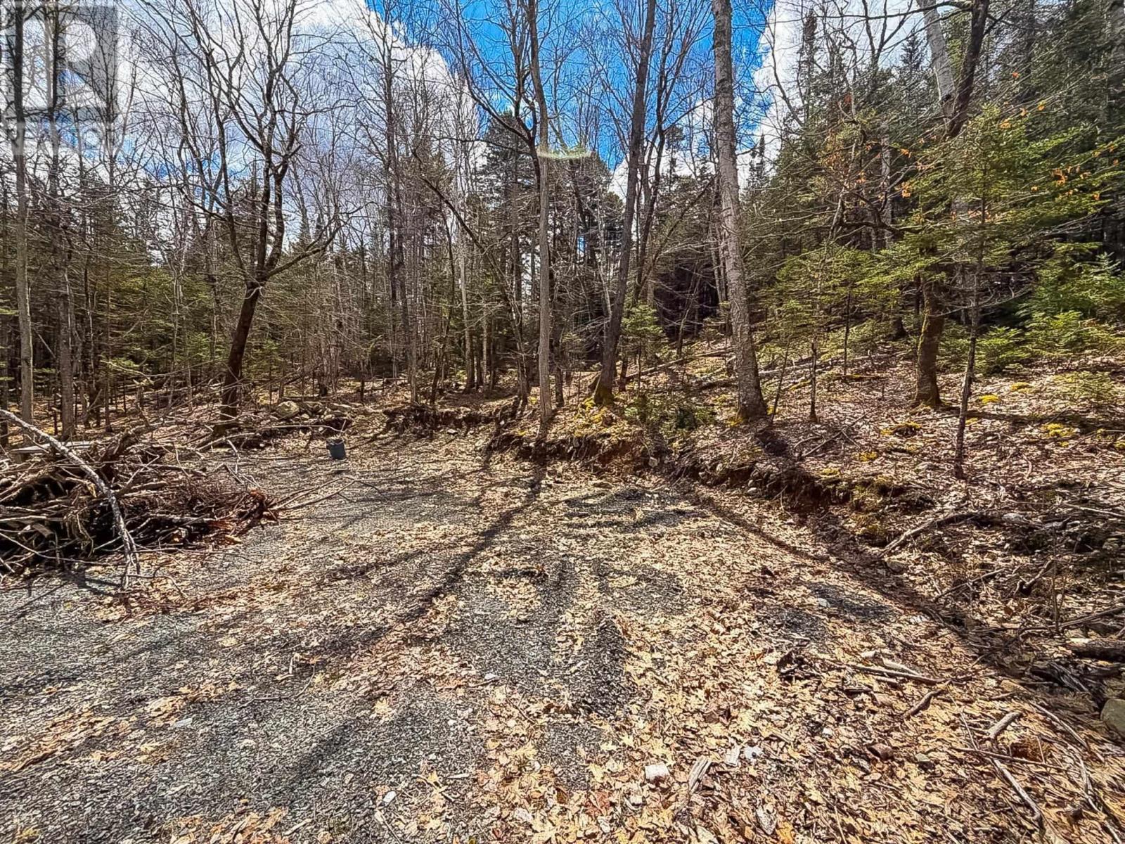 Lot 9 Molega Lake Road, Molega Lake, Nova Scotia  B4V 7N6 - Photo 13 - 202608844