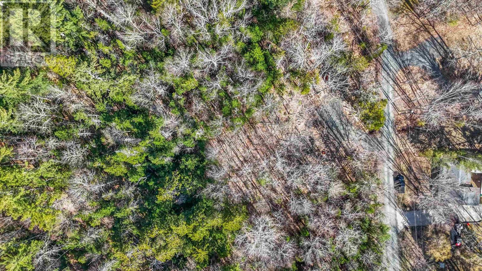 Lot 9 Molega Lake Road, Molega Lake, Nova Scotia  B4V 7N6 - Photo 19 - 202608844