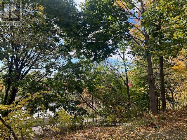 Main - 662 Broadview Avenue, Toronto, Ontario  M4K 2P1 - Photo 26 - E13054370