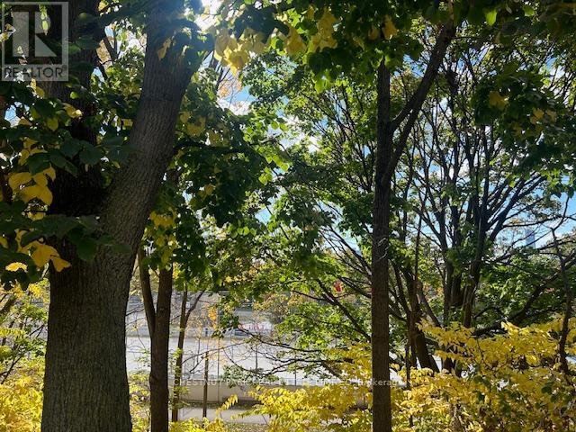 Main - 662 Broadview Avenue, Toronto, Ontario  M4K 2P1 - Photo 27 - E13054370