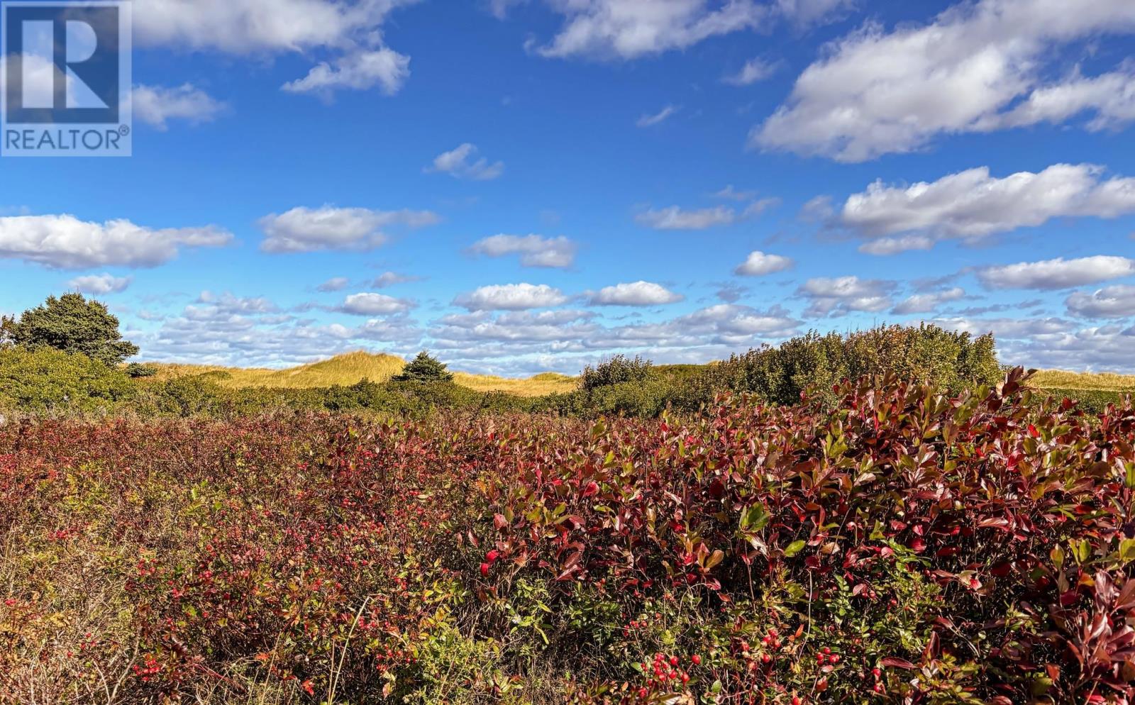 19 Pendergast Drive, Darnley, Prince Edward Island  C0B 1M0 - Photo 27 - 202608870