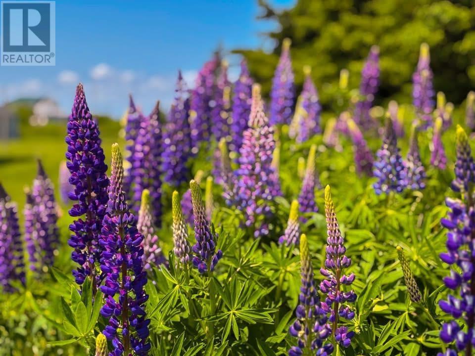 19 Pendergast Drive, Darnley, Prince Edward Island  C0B 1M0 - Photo 30 - 202608870