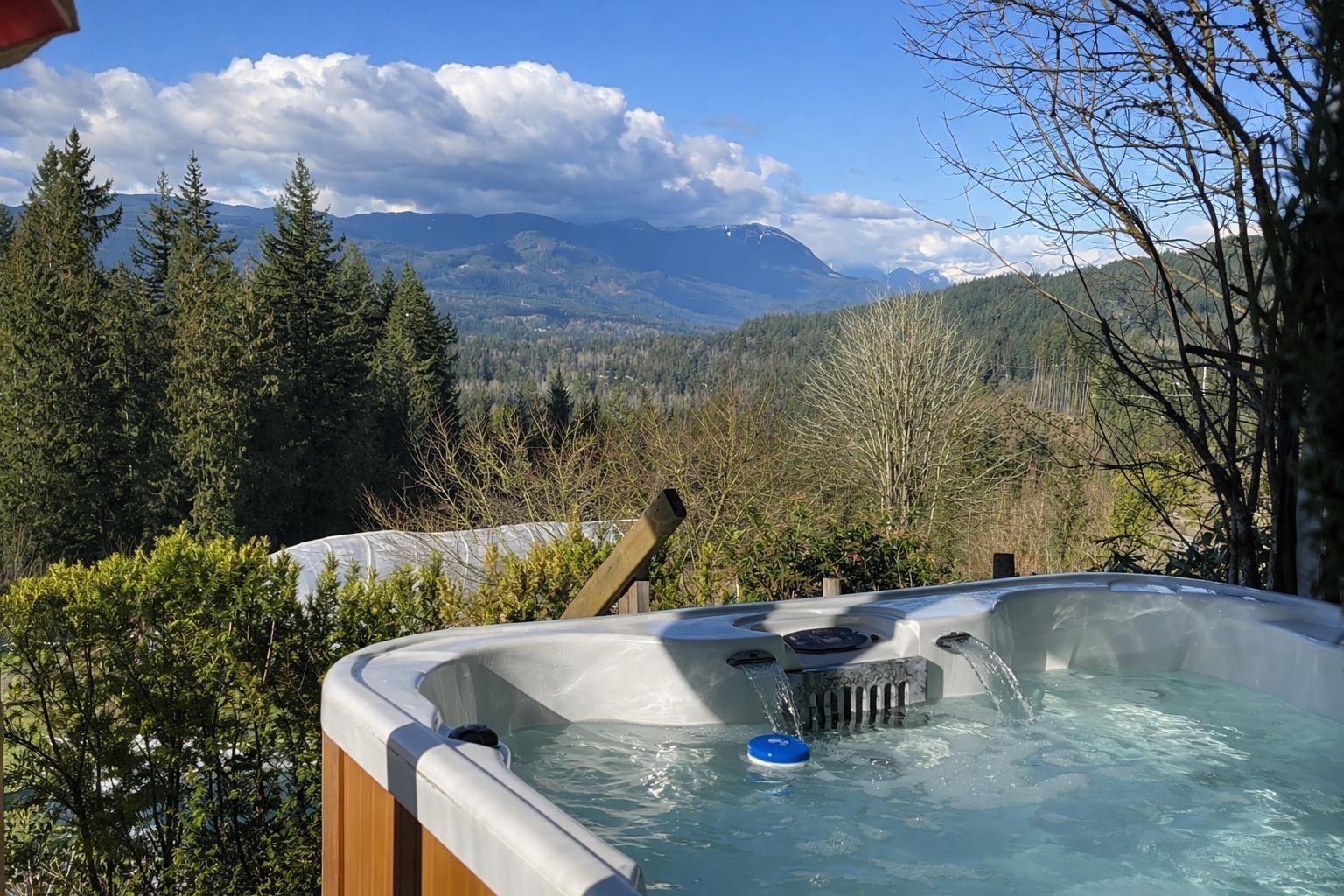 31081 Silverhill Avenue, Mission, British Columbia  V4S 1G9 - Photo 4 - R3094058