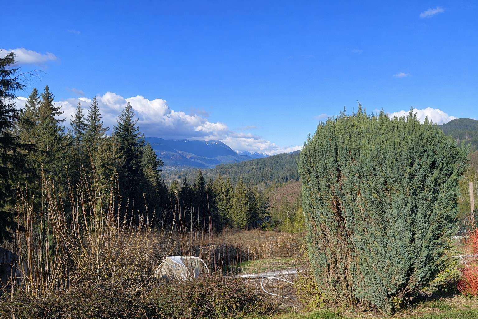 31081 Silverhill Avenue, Mission, British Columbia  V4S 1G9 - Photo 26 - R3094058