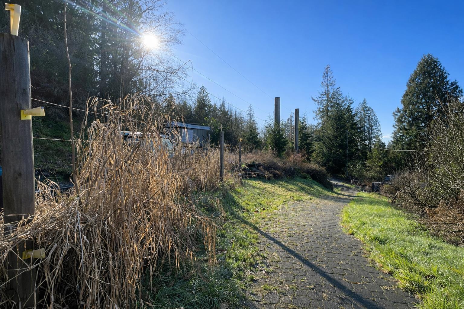 31081 Silverhill Avenue, Mission, British Columbia  V4S 1G9 - Photo 23 - R3094058