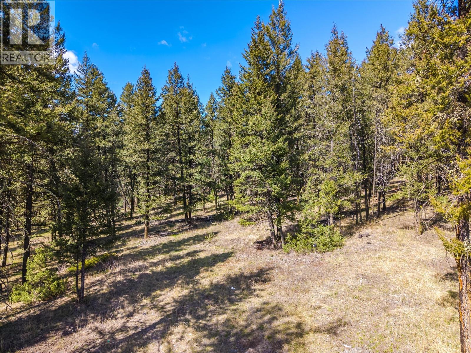 6696 Cariboo Highway 97, Clinton, British Columbia  V0K 1K0 - Photo 18 - 10385218