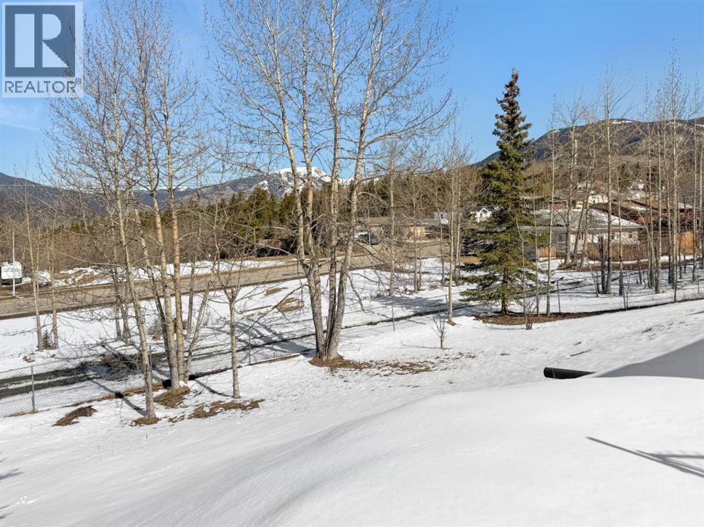 10702 104 Avenue, Grande Cache, Alberta  T0E 0Y0 - Photo 15 - A2305368
