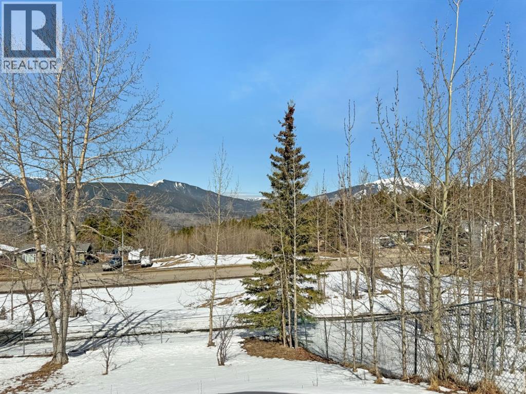 10702 104 Avenue, Grande Cache, Alberta  T0E 0Y0 - Photo 16 - A2305368