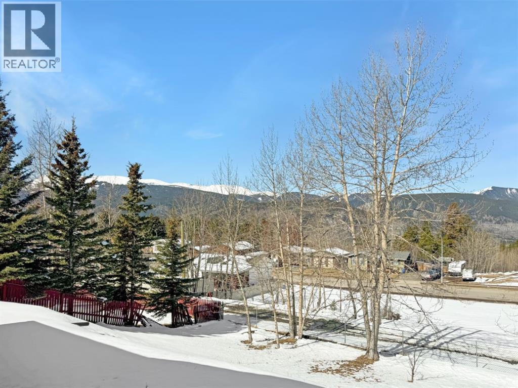 10702 104 Avenue, Grande Cache, Alberta  T0E 0Y0 - Photo 17 - A2305368