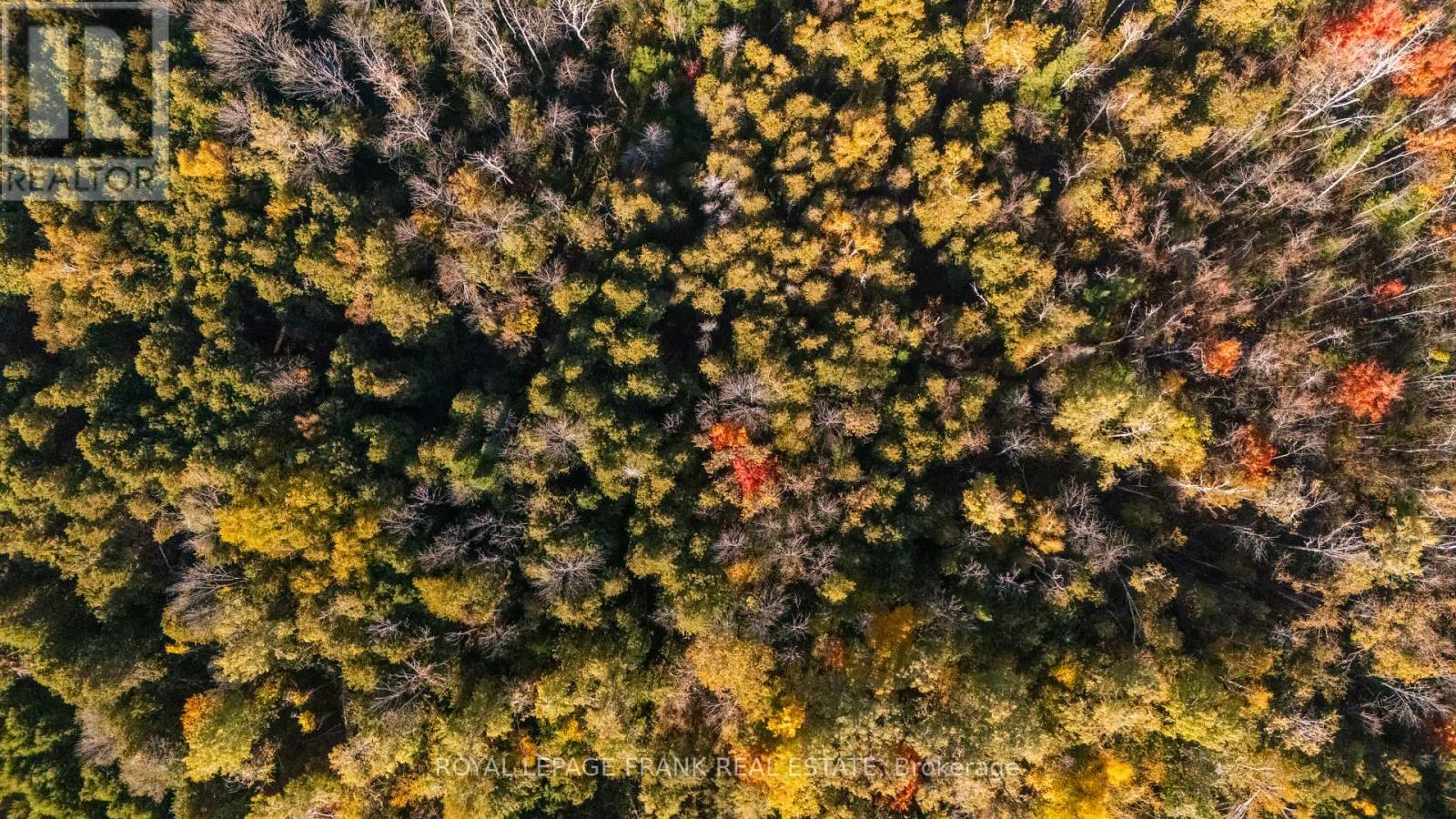 740 Mount Horeb Road, Kawartha Lakes, Ontario  K0L 2X0 - Photo 6 - X13054714