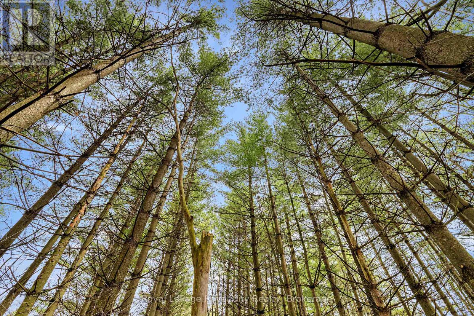 4620 20 Side Road N, Puslinch, Ontario  N1H 6J3 - Photo 6 - X13054514