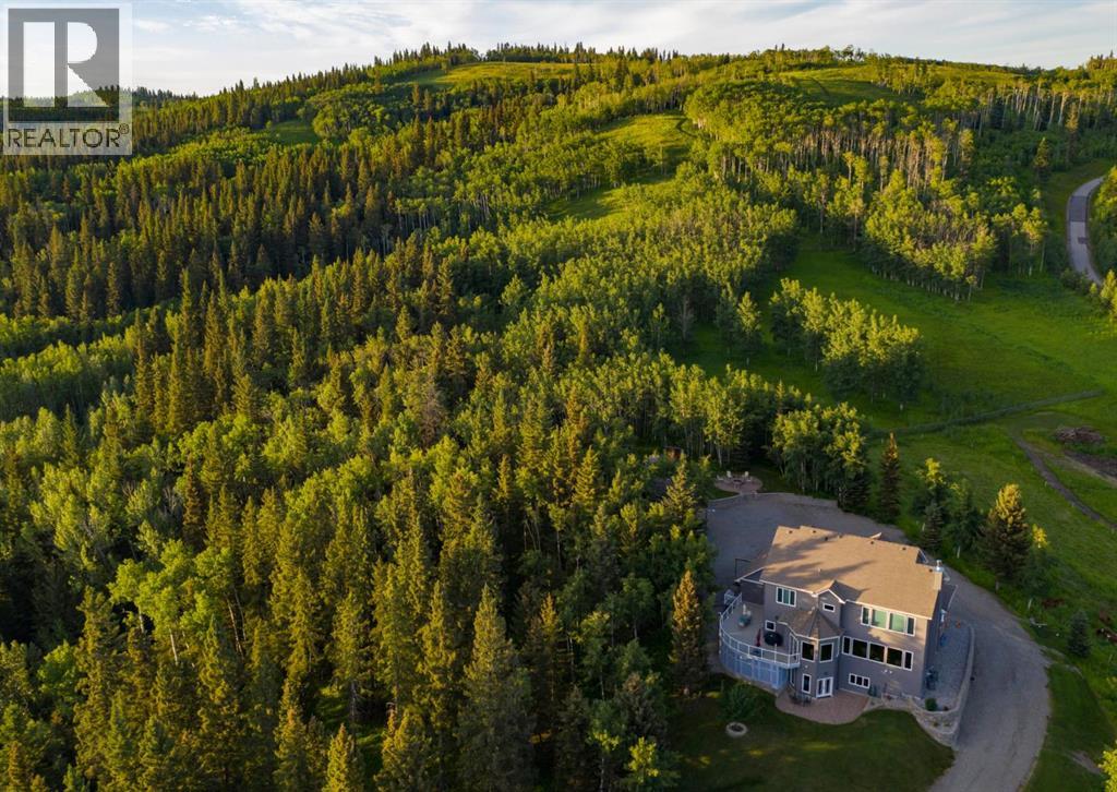 100, 290108 Parkins Road W, Rural Foothills County, Alberta  T0L 1K0 - Photo 3 - A2301845