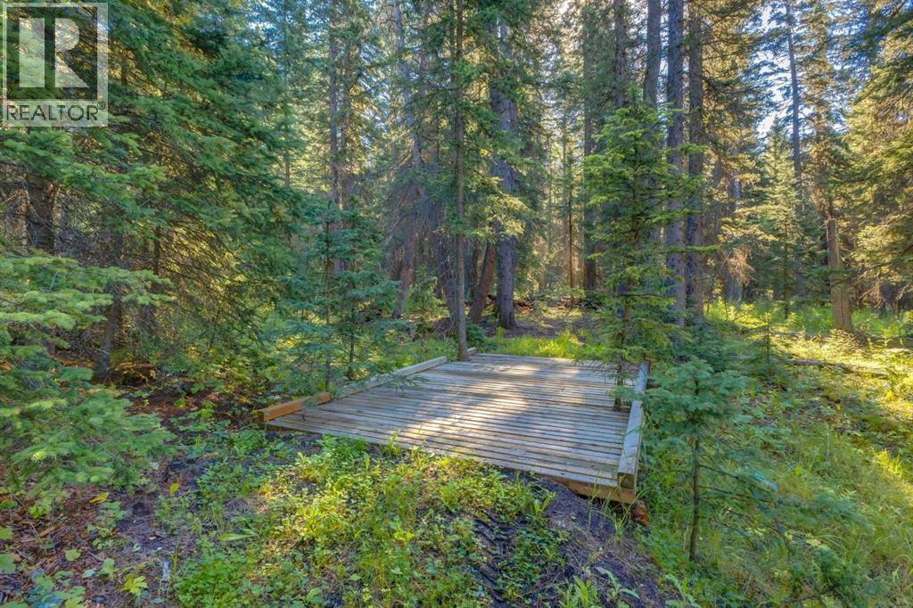 100, 290108 Parkins Road W, Rural Foothills County, Alberta  T0L 1K0 - Photo 48 - A2301845