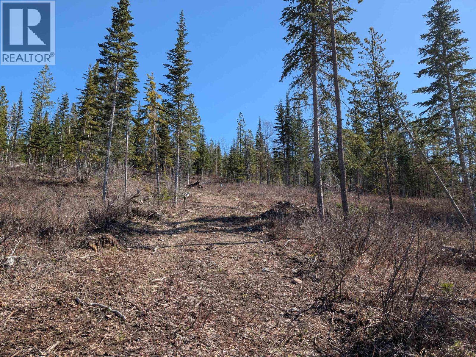 Lot A Telkwa High Road, Smithers, British Columbia  V0J 2N7 - Photo 10 - R3116674