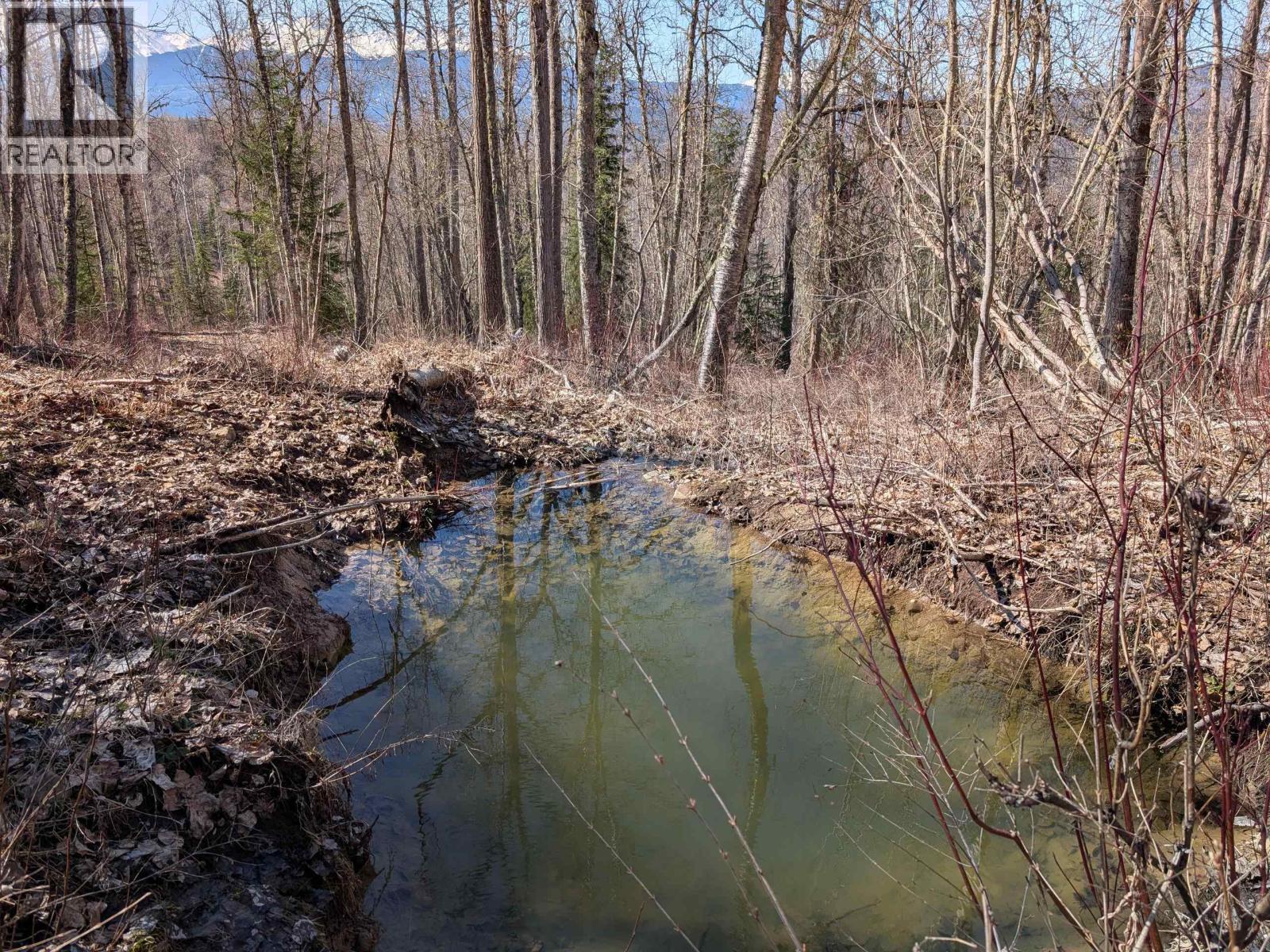 Lot A Telkwa High Road, Smithers, British Columbia  V0J 2N7 - Photo 8 - R3116674