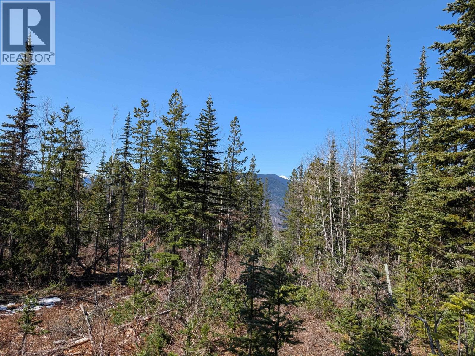Lot A Telkwa High Road, Smithers, British Columbia  V0J 2N7 - Photo 11 - R3116674