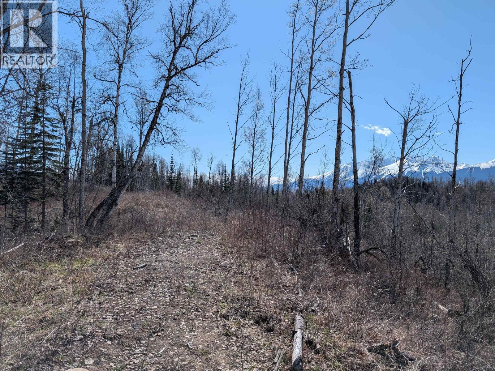 Lot A Telkwa High Road, Smithers, British Columbia  V0J 2N7 - Photo 28 - R3116674