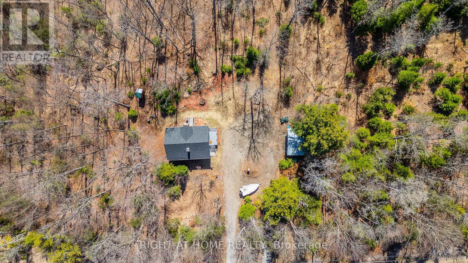 1066 Loop Road, Highlands East, Ontario  K0L 1C0 - Photo 10 - X13054550