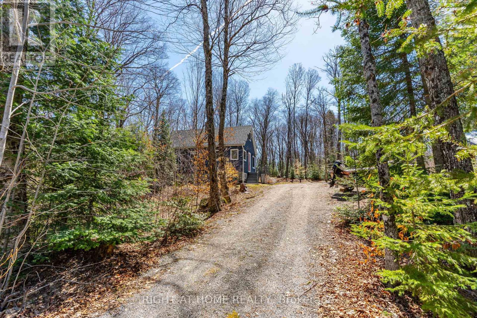 1066 Loop Road, Highlands East, Ontario  K0L 1C0 - Photo 12 - X13054550