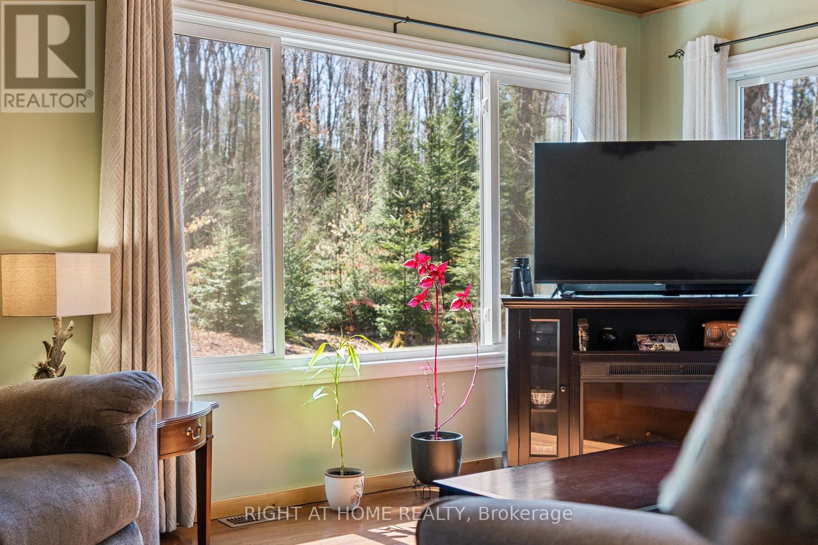 1066 Loop Road, Highlands East, Ontario  K0L 1C0 - Photo 23 - X13054550