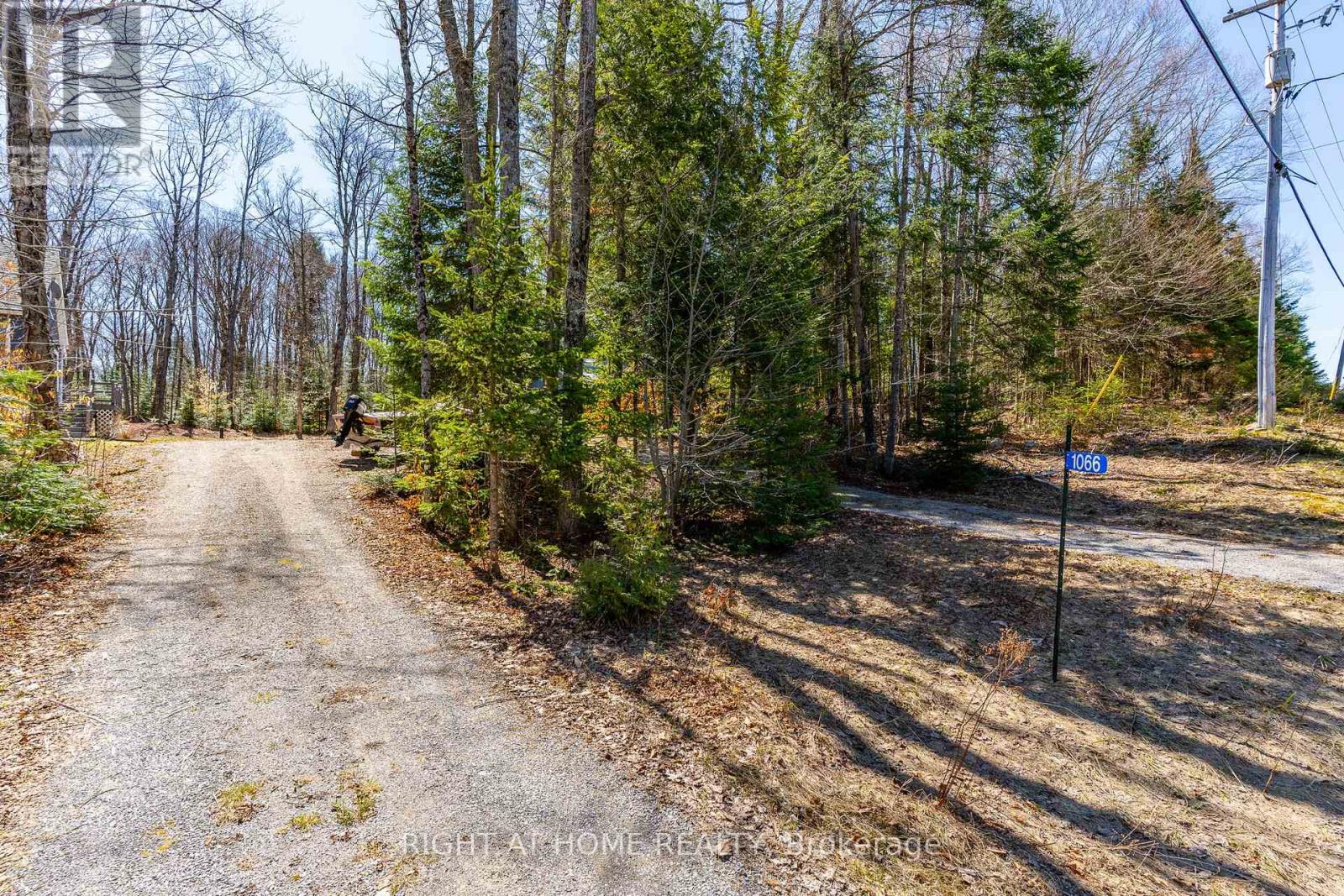 1066 Loop Road, Highlands East, Ontario  K0L 1C0 - Photo 4 - X13054550