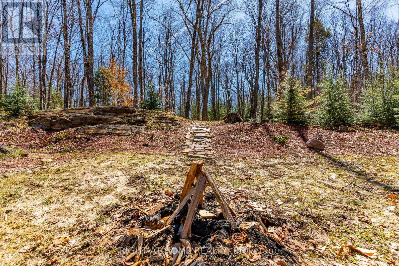 1066 Loop Road, Highlands East, Ontario  K0L 1C0 - Photo 5 - X13054550