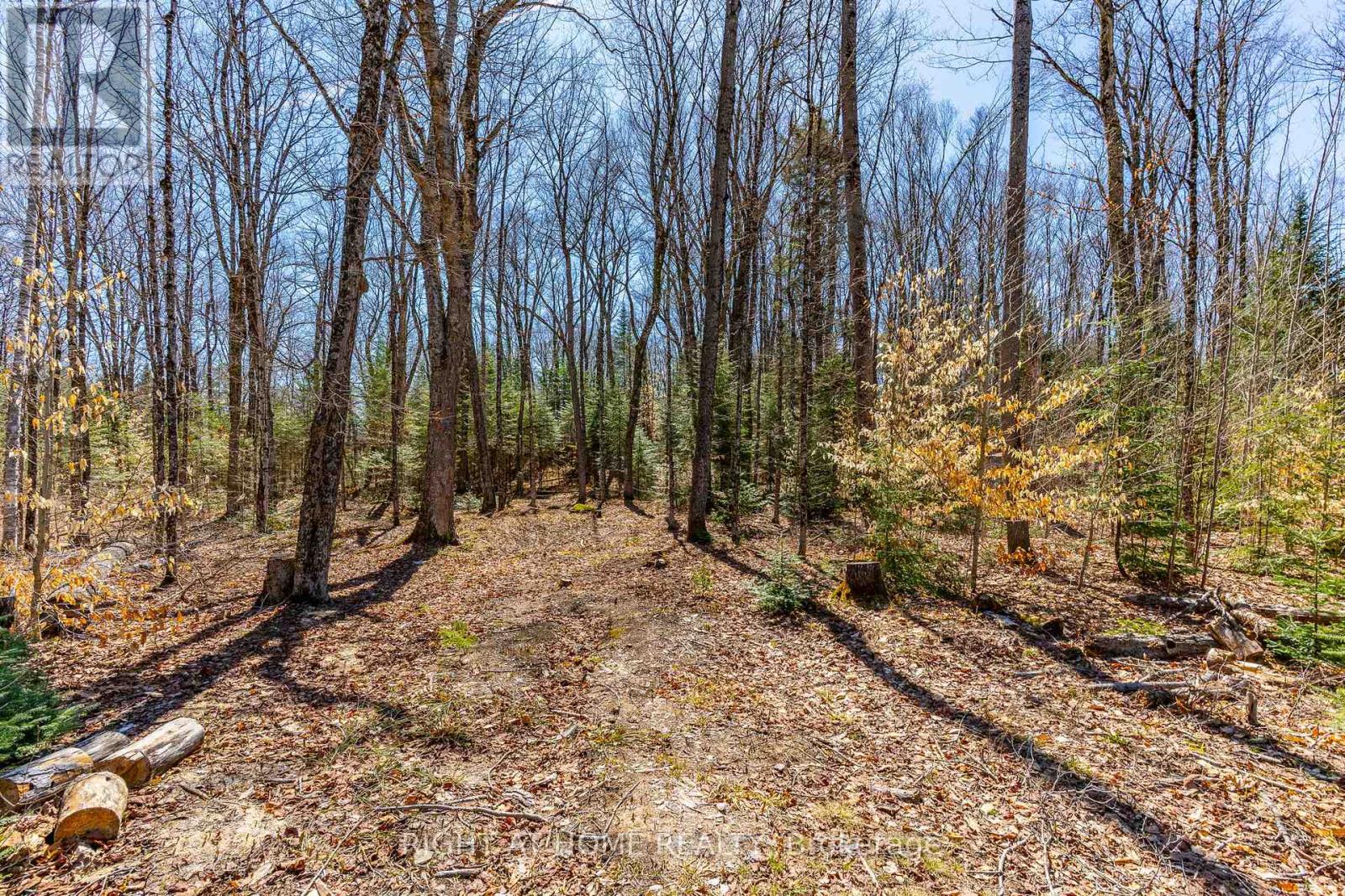 1066 Loop Road, Highlands East, Ontario  K0L 1C0 - Photo 6 - X13054550