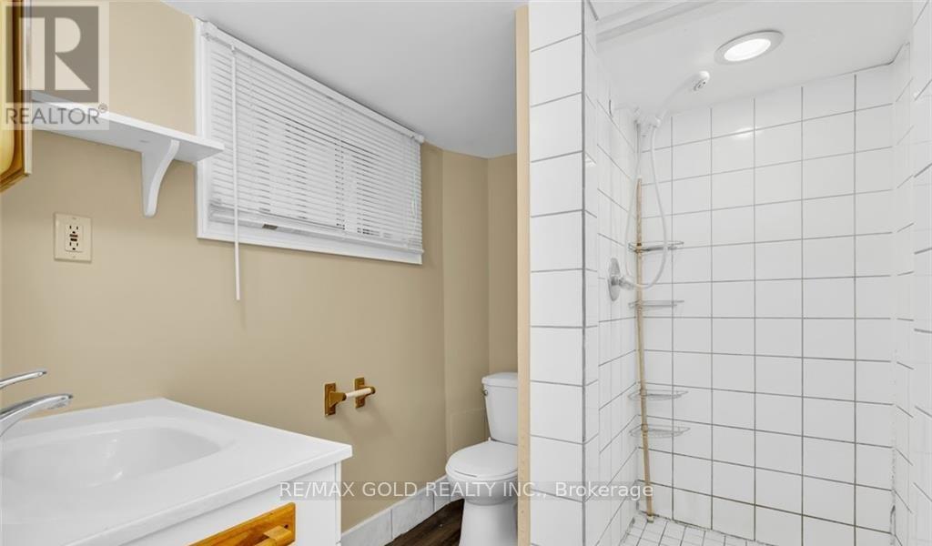 Bsmt - 746 King Street W, Hamilton, Ontario  L8S 1J8 - Photo 5 - X13054678