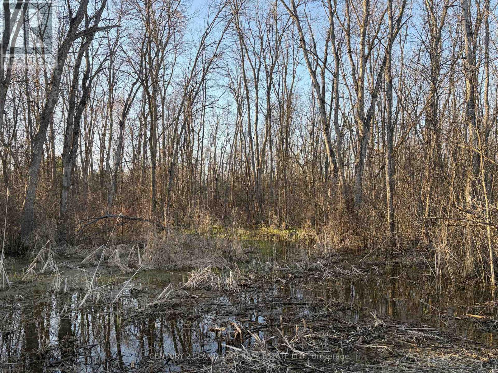 0 Reid Settlement Road, Centre Hastings, Ontario  K0K 2K0 - Photo 11 - X13054862