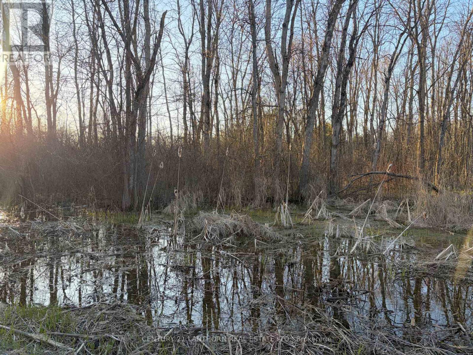 0 Reid Settlement Road, Centre Hastings, Ontario  K0K 2K0 - Photo 12 - X13054862