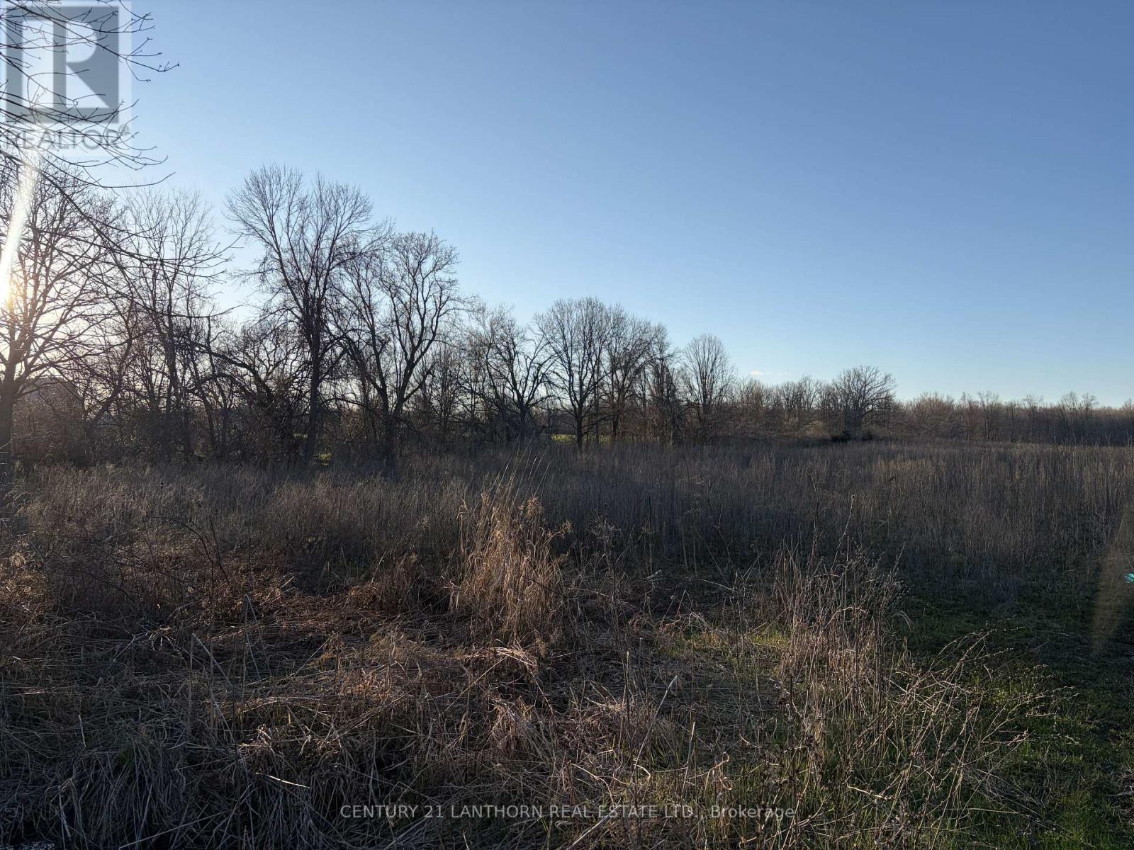 0 Reid Settlement Road, Centre Hastings, Ontario  K0K 2K0 - Photo 5 - X13054862