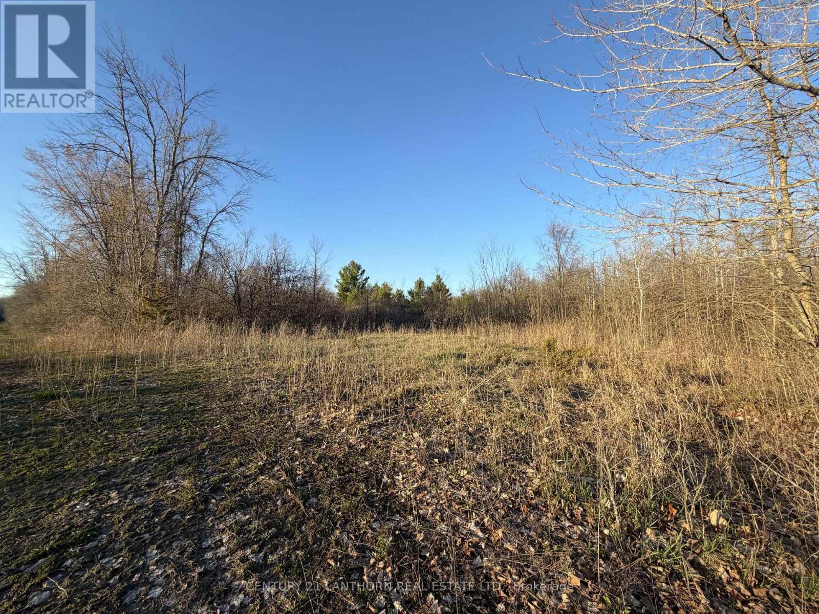 0 Reid Settlement Road, Centre Hastings, Ontario  K0K 2K0 - Photo 6 - X13054862