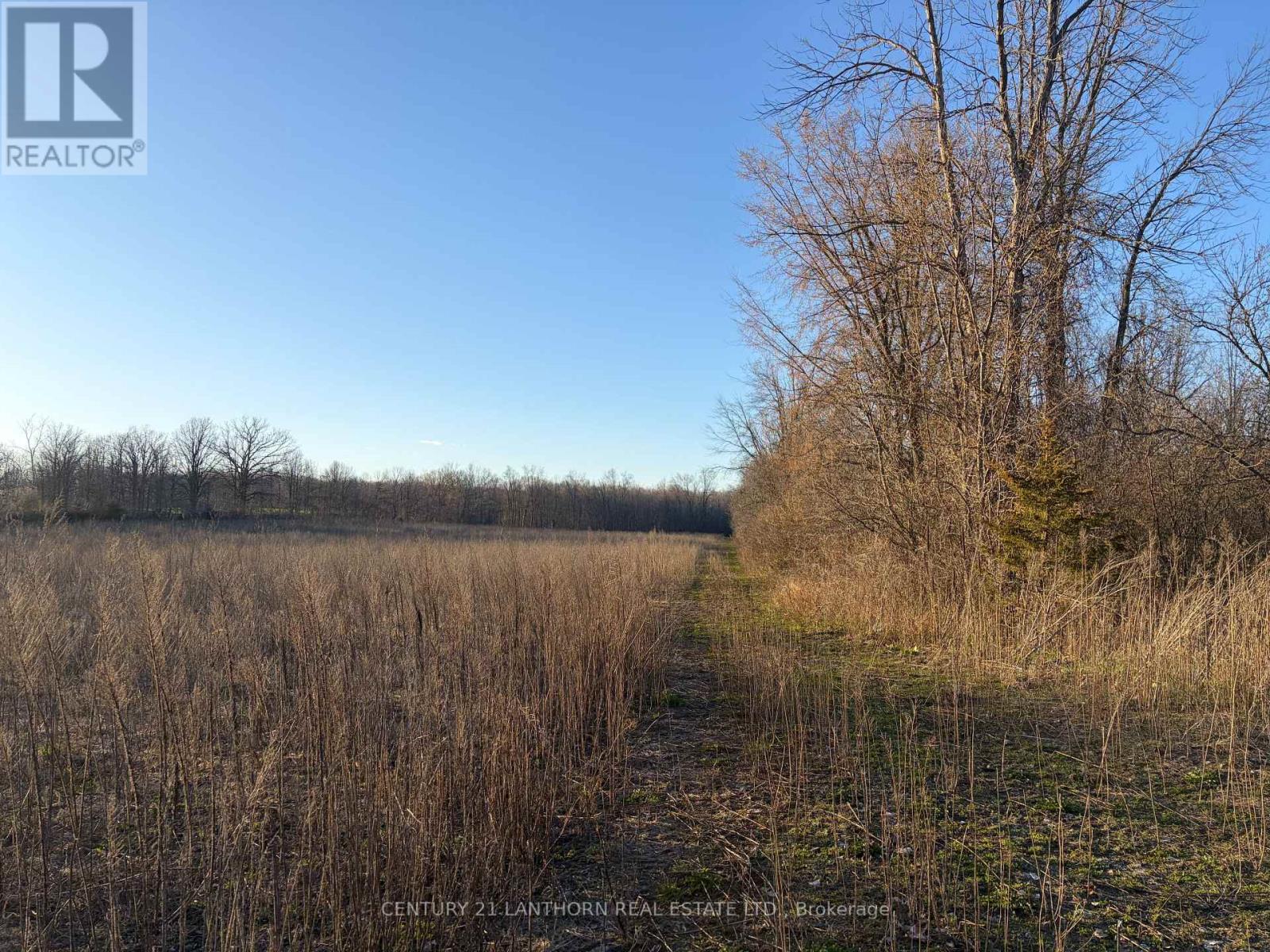 0 Reid Settlement Road, Centre Hastings, Ontario  K0K 2K0 - Photo 7 - X13054862