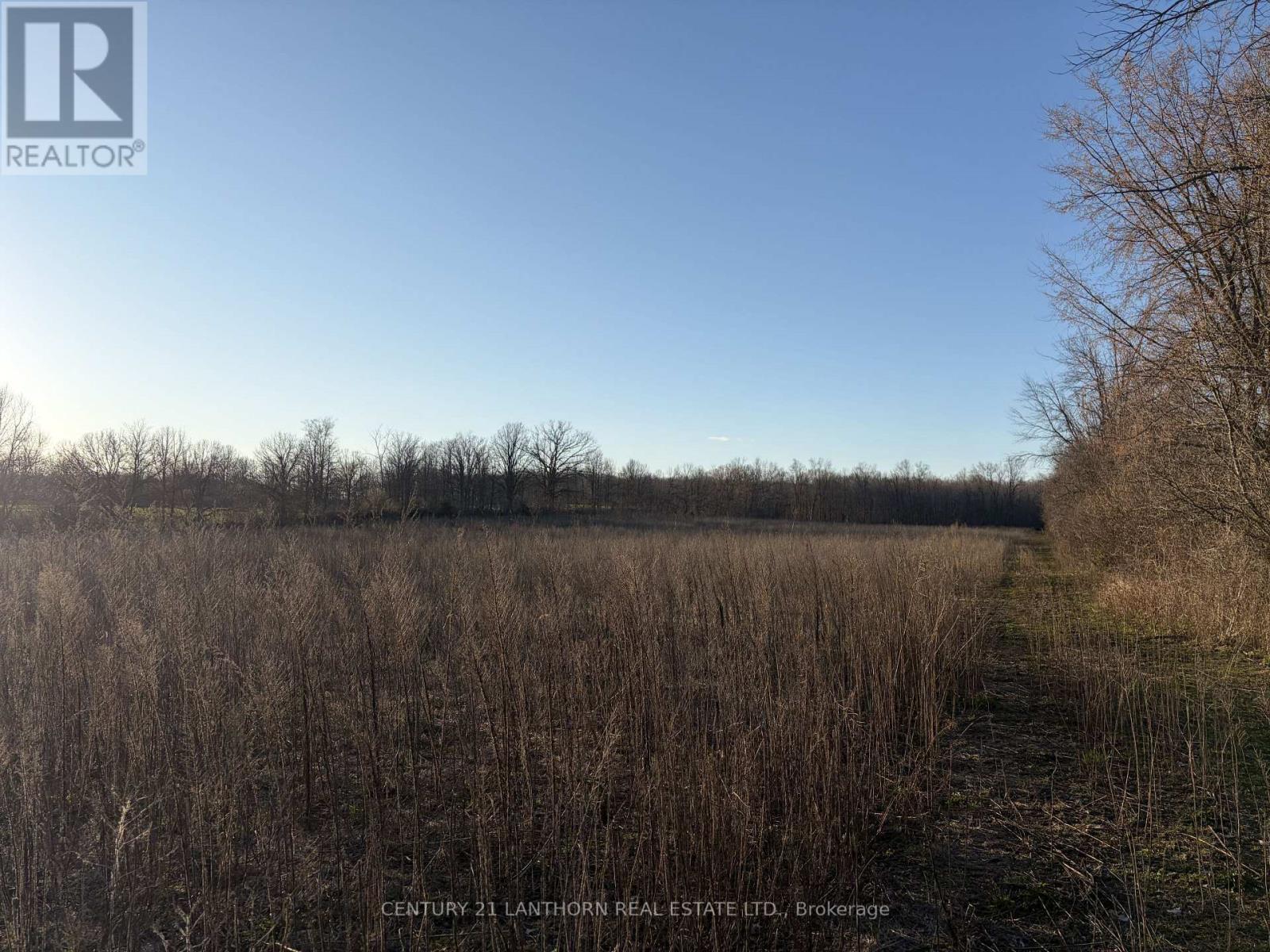 0 Reid Settlement Road, Centre Hastings, Ontario  K0K 2K0 - Photo 8 - X13054862