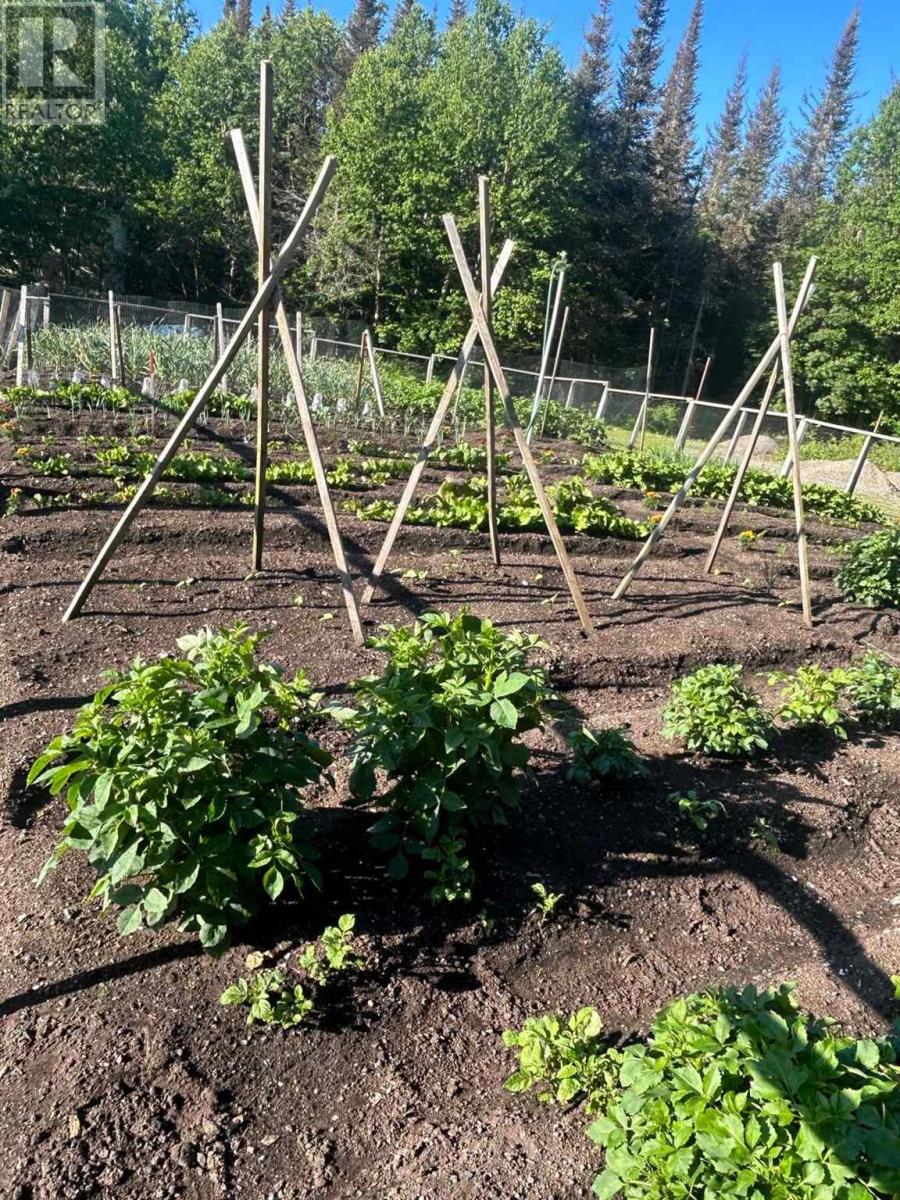 40 Hunter Rd, Killraine Twp, Ontario  P0T 2S0 - Photo 45 - TB251977