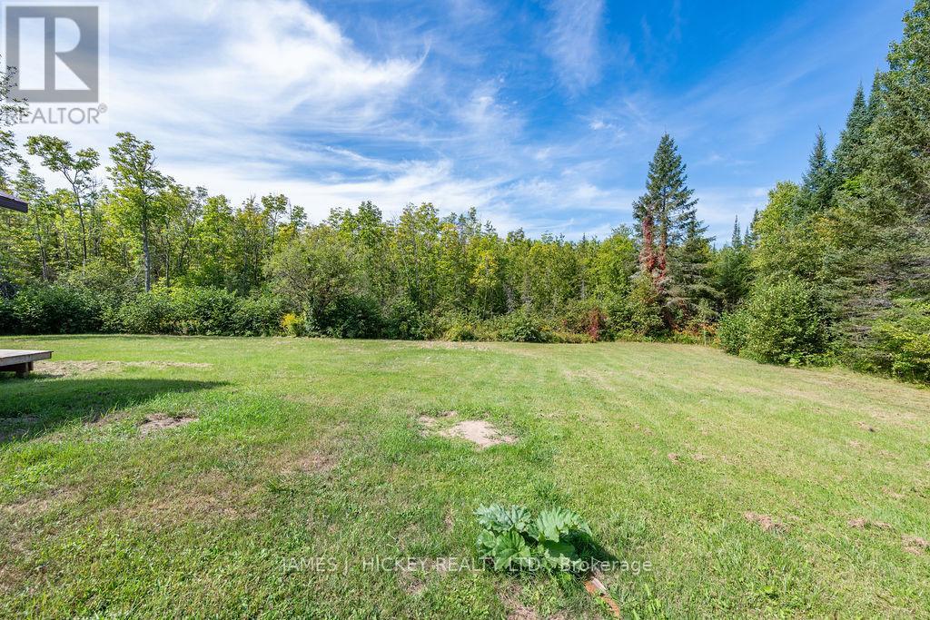 37335 Highway 17 Highway, Laurentian Hills, Ontario  K0J 2H0 - Photo 35 - X12382151