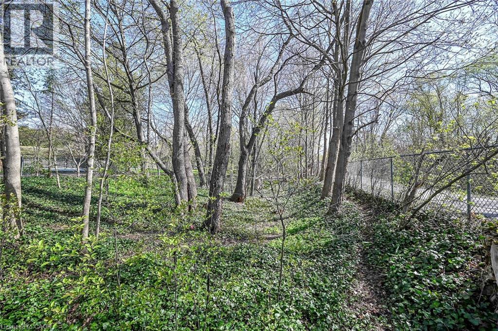 172 Taylor Road, Ancaster, Ontario  L9G 1P1 - Photo 40 - 40825082