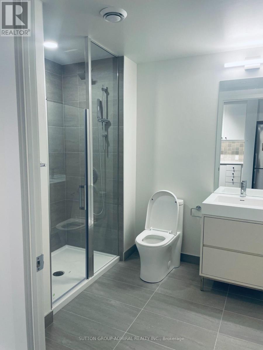 306 - 9 Tecumseth Street, Toronto, Ontario  M5V 3G4 - Photo 13 - C13054790