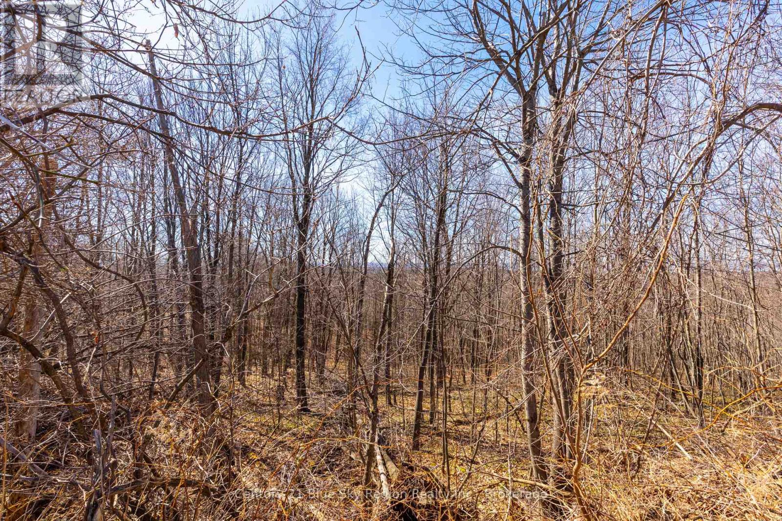 70 Kenreta Drive, North Bay, Ontario  P1C 0A5 - Photo 4 - X12793122