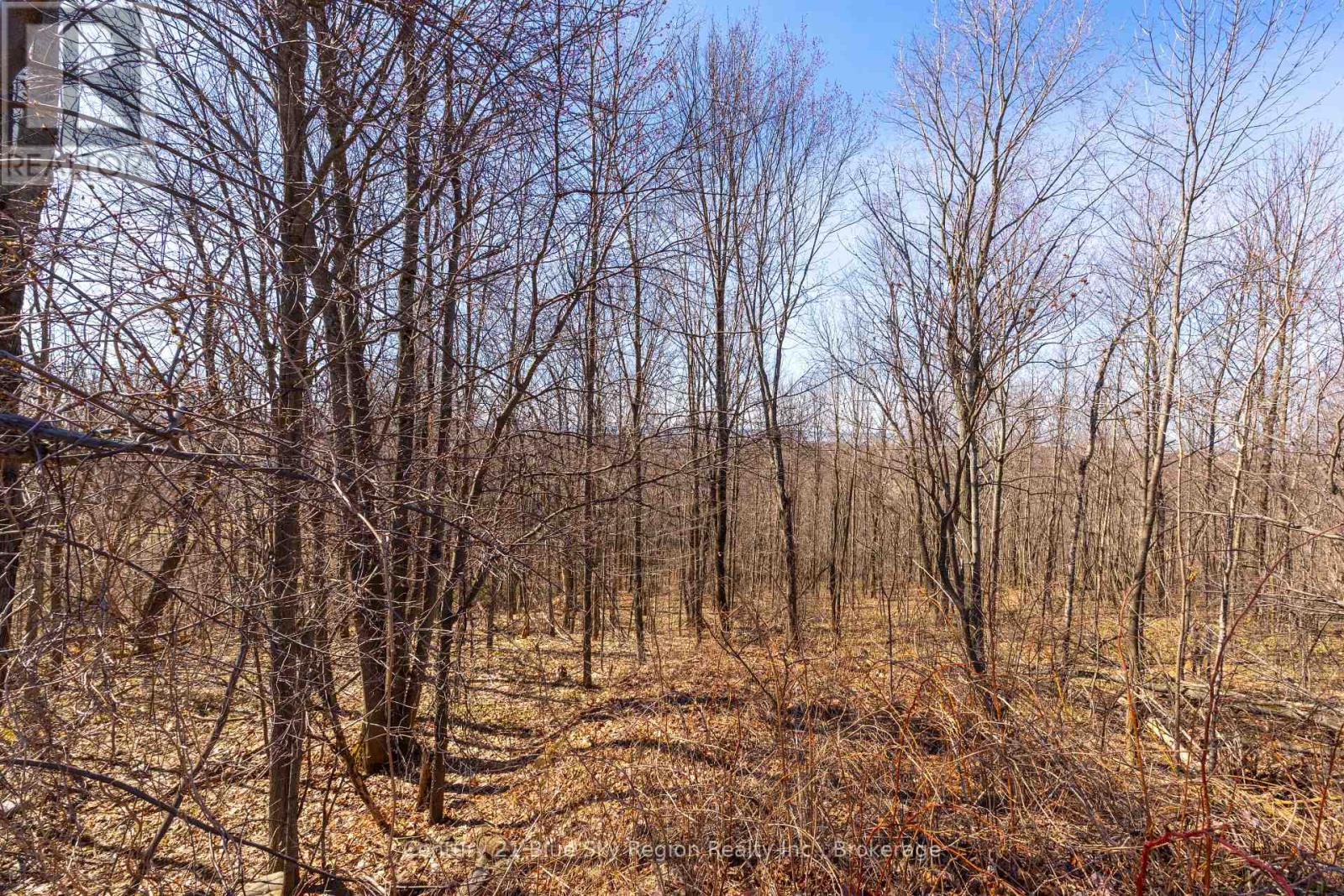 74 Kenreta Drive, North Bay, Ontario  P1C 0A5 - Photo 5 - X12793108