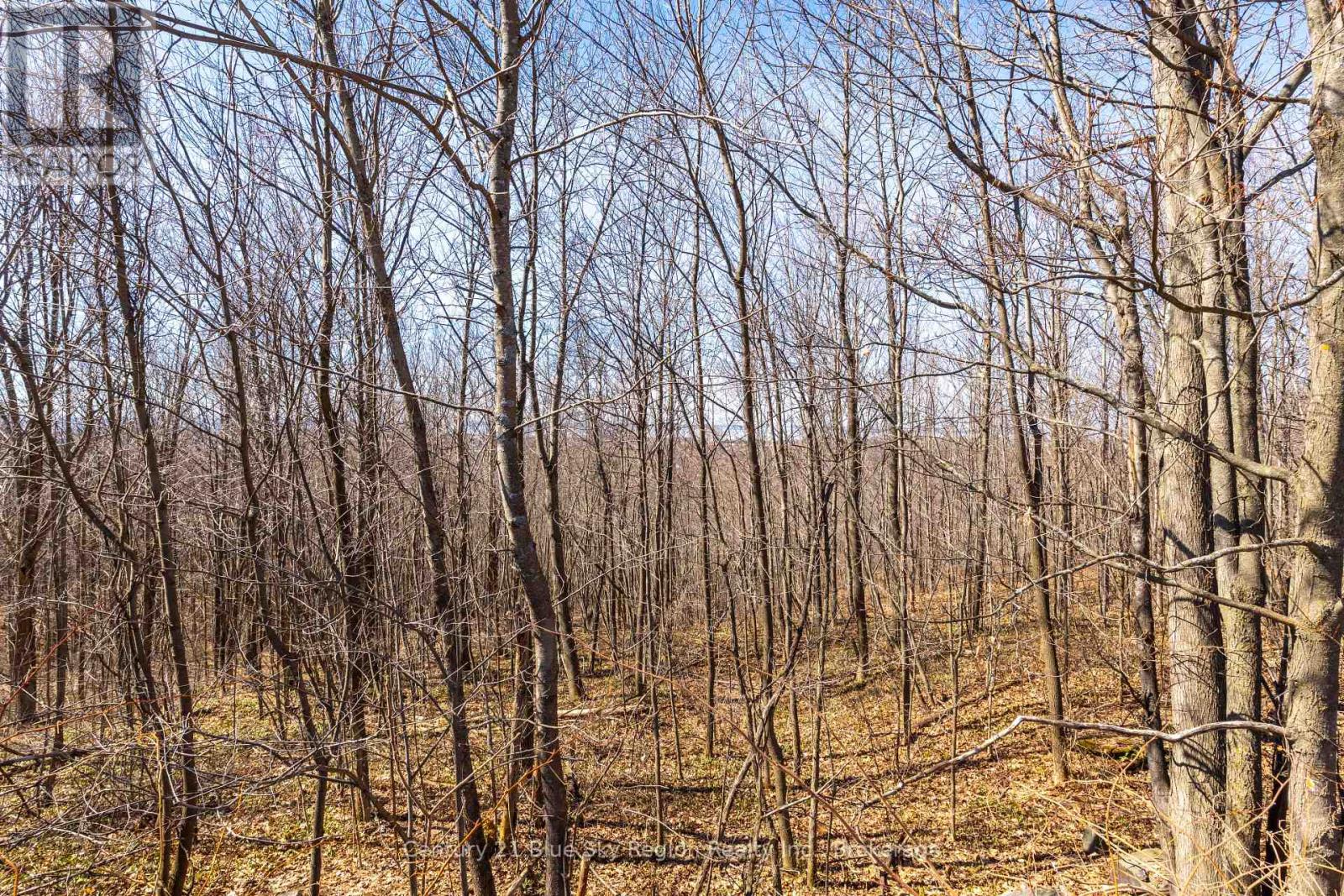 66 Kenreta Drive, North Bay, Ontario  P1C 0A5 - Photo 4 - X12793116