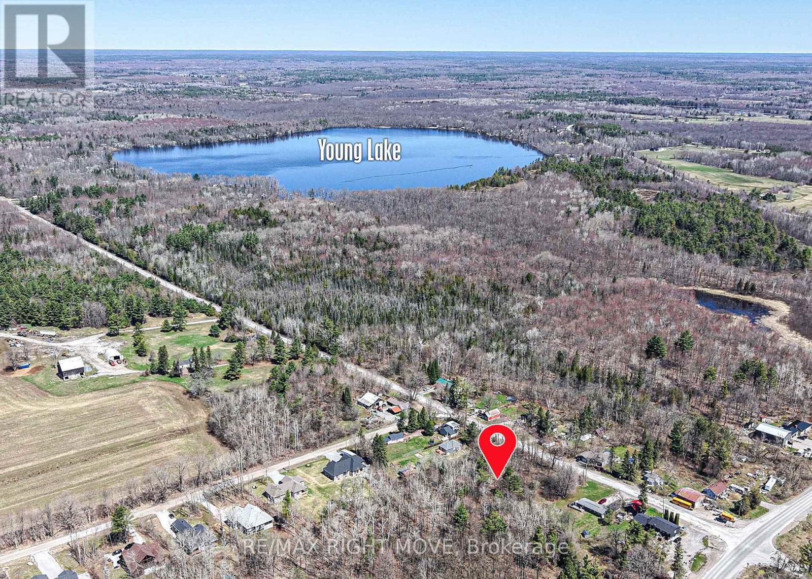 5902 Rama Dalton Boundary Road, Ramara, Ontario  L0K 1W0 - Photo 4 - S13054834