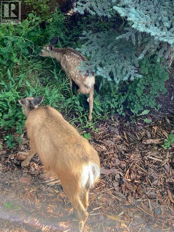 25 Posthill Drive Sw, Calgary, Alberta  T3H 0A8 - Photo 49 - A2281353